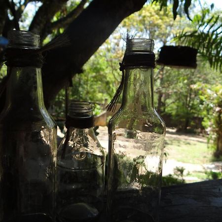 Chale Rancho Aratama Bed & Breakfast Jacarei Exterior photo